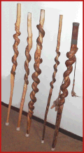 Walking Sticks